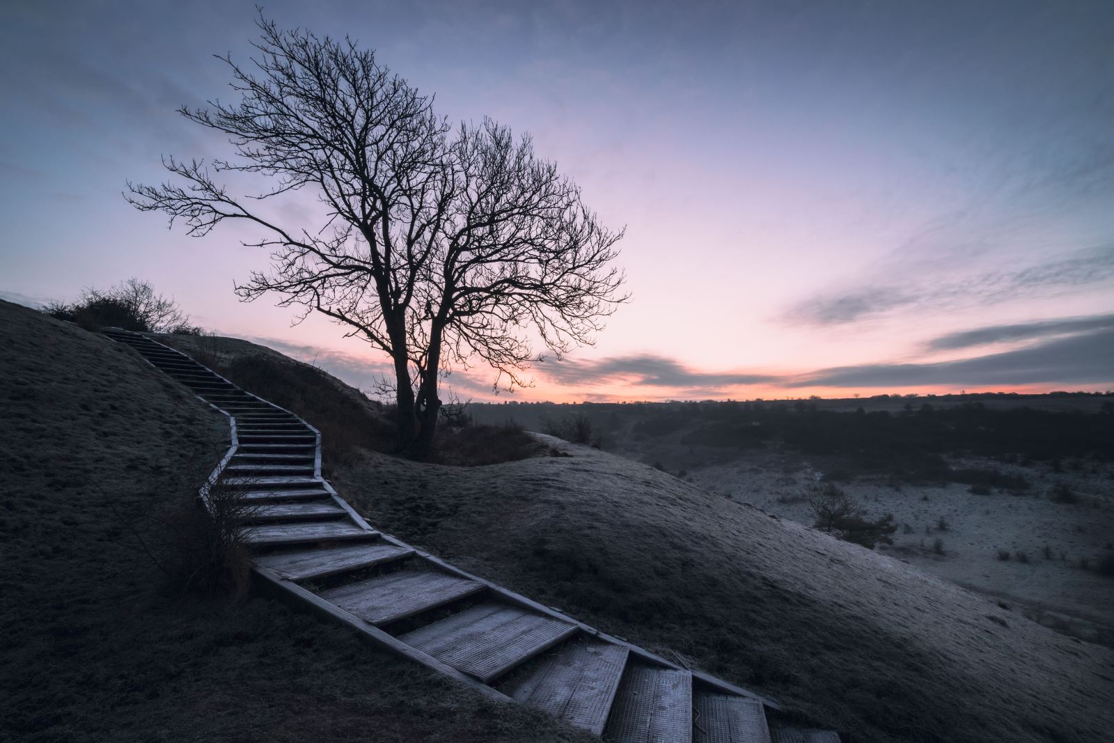 St Catherine's Hill, Winchester